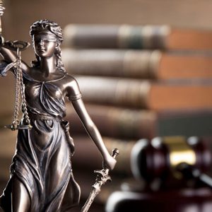 Administrative Law & Constitutional Litigation