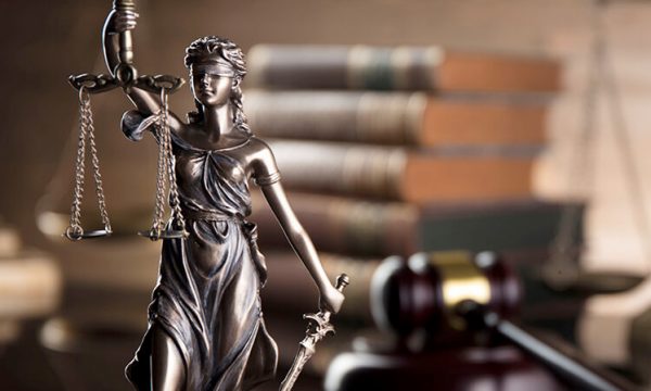 Administrative Law & Constitutional Litigation