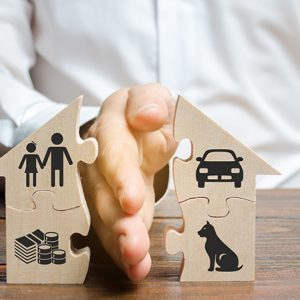 Family Law/Matrimonial Law