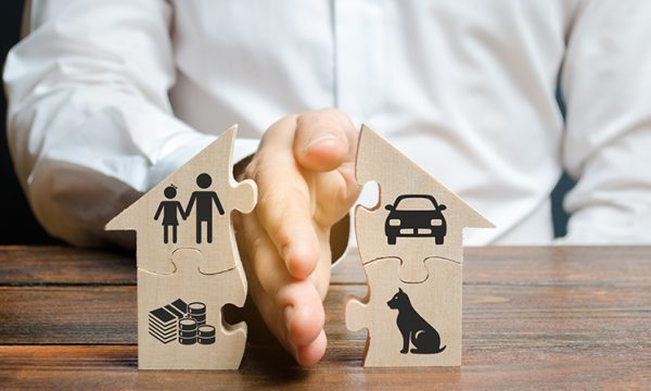 Family Law/Matrimonial Law